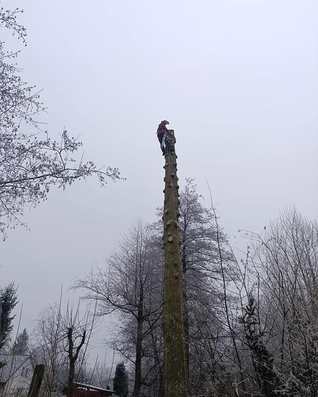 Instagram příspěvek — Michal Řezáč