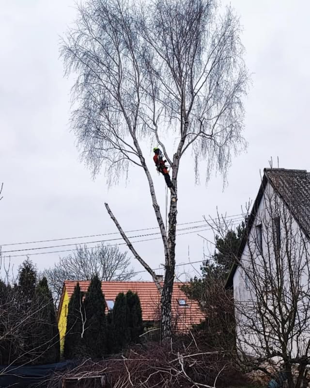 Instagram příspěvek — Michal Řezáč